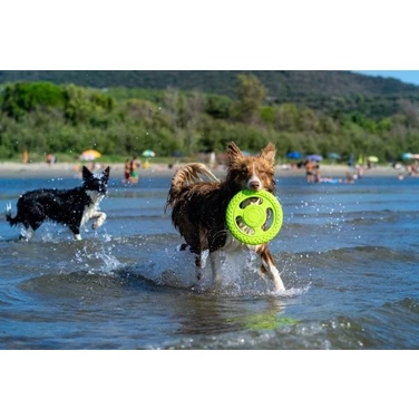 KIWI WALKER Frisbee - pływające frisbee dla psa do aportu i przeciągania, zielone - 4