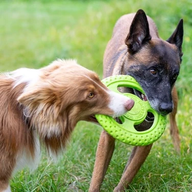 KIWI WALKER Frisbee - pływające frisbee dla psa do aportu i przeciągania, zielone - 7