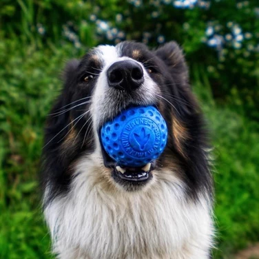 KIWI WALKER Ball - pływająca piłka dla psa, niebieska - 4