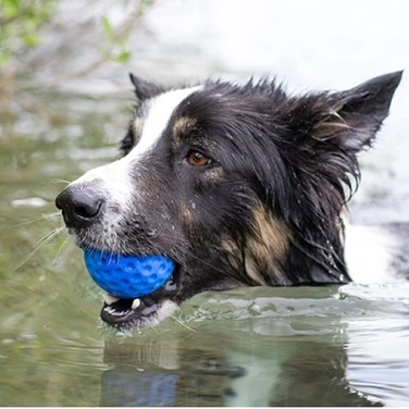 KIWI WALKER Ball - pływająca piłka dla psa, niebieska - 5