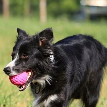 KIWI WALKER Ball - pływająca piłka dla psa, różowa - 5