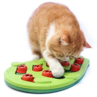 PETSTAGES Buggin' Out - łamigłówka dla kota o różnych stopniach trudności, na smakołyki lub karmę - 2