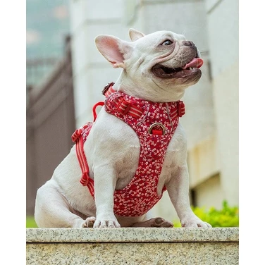 TRUELOVE Blossom - szelki dla psa typu guard z wygodną rączką i dwoma zapięciami, czerwone - 4