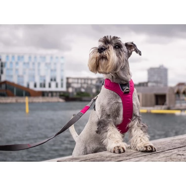 DOG COPENHAGEN Comfort Pro - mocne i lekkie szelki dla psa typu guard z wygodną rączką, czarne - 4