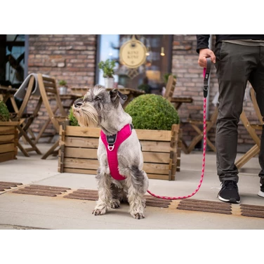 DOG COPENHAGEN Comfort Pro - mocne i lekkie szelki dla psa typu guard z wygodną rączką, różowe - 5