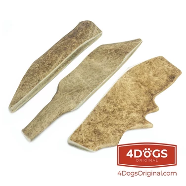 4DOGS - naturalny, twardy gryzak dla psów z poroża daniela - 6