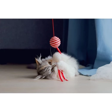 PET SUPPLIES Fun Ball - lekka piłka z grzechotką dla kota, na długim sznurku - 3