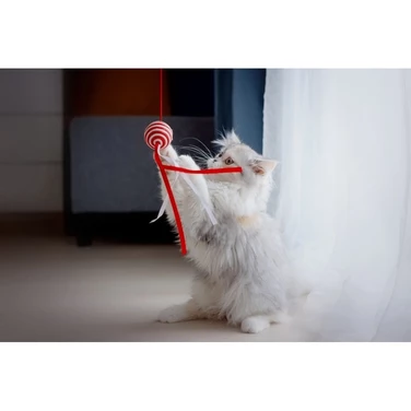 PET SUPPLIES Fun Ball - lekka piłka z grzechotką dla kota, na długim sznurku - 4
