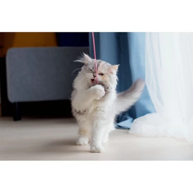 PET SUPPLIES Fluff Ball - lekki futrzany pompon, zabawka dla kota na długiej gumce - 3