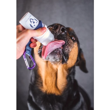 DOGGYROLLER - innowacyjny podajnik na półpłynne smakołyki dla psa, różowy - 4