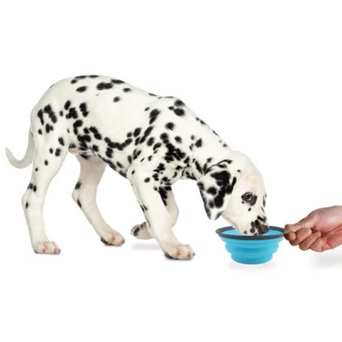 DEXAS Travel Cup - składana, silikonowa miska podróżna dla psa z karabinkiem, niebieska  - 2