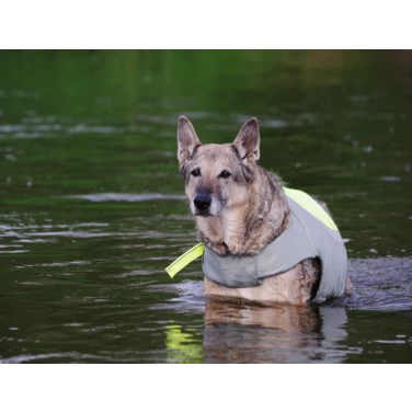TRUELOVE Dive kapok - kamizelka ratunkowa dla psa, żółta - 3