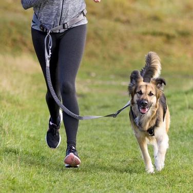 TRIXIE pas biodrowy do biegania i dogtrekkingu ze smyczą dla średnich psów, szary - 2
