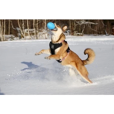 PITCHDOG SportBall - piłka rugby dla psa z lekkiej i wytrzymałej pianki, niebieska - 5