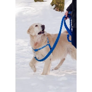 PETSMILE easy-walk - szelki dla psów ciągnących na smyczy typu easy-walk, niebieskie - 4