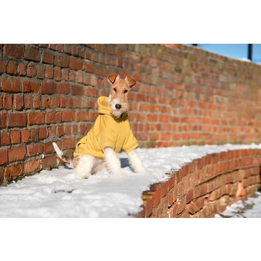 AMIPLAY Texas - jesienno-zimowa bluza z kapturem dla psa, żółta - 3