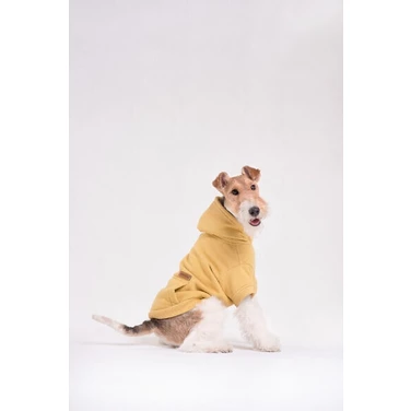 AMIPLAY Texas - jesienno-zimowa bluza z kapturem dla psa, żółta - 2