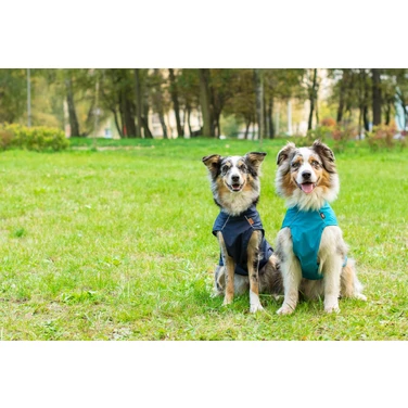 TRIXIE Vimy - płaszczyk przeciwdeszczowy dla psa, niebieski - 4