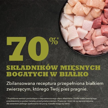 ACANA Highest Protein Grasslands Dog - bezzbożowa, sucha karma dla szczeniąt i psów dorosłych, jagnięcina, kaczka i ryby - 3