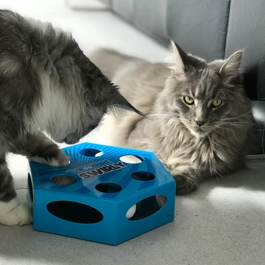 COOCKOO Swirly - interaktywna zabawka dla kota na baterie, z piórkami i piłeczką, niebieska - 4