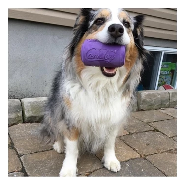 SODA PUP Can Toy - zabawka puszka dla psa do wypełniania jedzeniem, fioletowa - 2