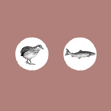 EDEN Semi-Moist Salmon & Quail - półwilgotna karma dla psa, łosoś z przepiórką - 5