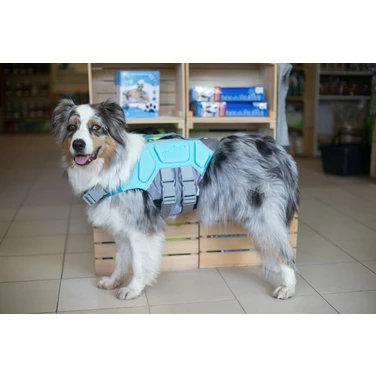 DOG HELIOS Life jacket - kapok dla psa, niebieski - 2