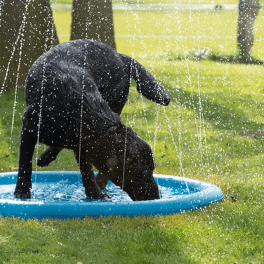 COOLPETS Splash - basen dla psa ze zraszaczami - 2