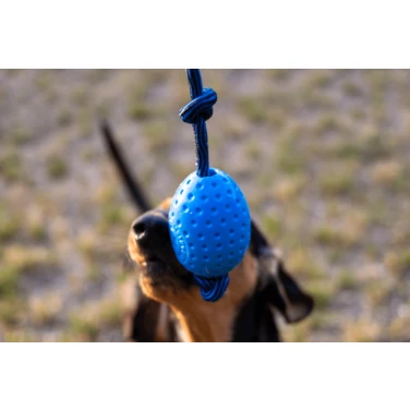 KIWI WALKER Jajo - pływający aport dla psa z mocnej pianki TPR z liną, niebieski - 2