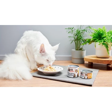 JOHN DOG for cats Fillets - pełnoporcjowa,  mokra karma dla dorosłych kotów, filet z kurczaka i krewetek - 3