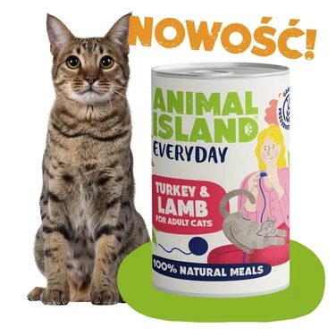 ANIMAL ISLAND Everyday - pełnoporcjowa mokra karma dla kotów, indyk z jagnięciną 400g - 2