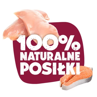 ANIMAL ISLAND pełnoporcjowa mokra karma dla kotów, aż 99% mięsa, kurczak z łososiem 200g - 6