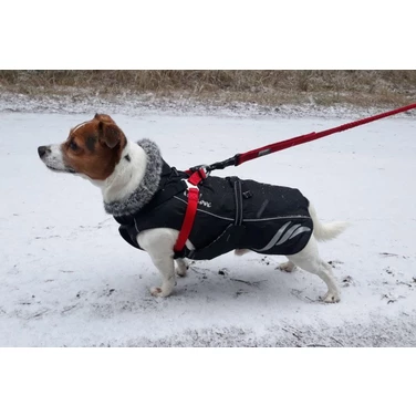 TRUELOVE Comfort Plus - ocieplana derka zimowa dla psa, czarna - 3