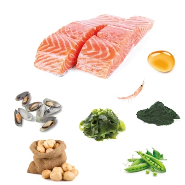 FISH4DOG Superior Senior - niskotłuszczowa, sucha karma dla psów starszych i z nadwagą, małe granulki, łosoś 1,5kg - 4