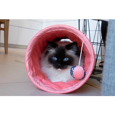 ZOLUX Ethi'cat - kolorowy tunel dla kota z zabawką, wykonany w ekologicznych materiałów, różowy 50cm - 5