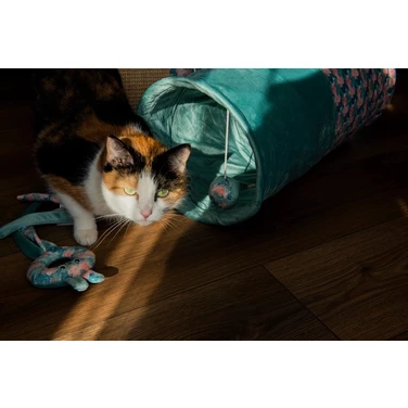 ZOLUX Ethi'cat - kolorowy tunel dla kota z zabawką, wykonany w ekologicznych materiałów, turkusowy 50cm - 5