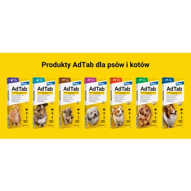 ELANCO AdTab 12 mg - tabletka na pchły i kleszcze dla kotów o wadze 0,5 - 2,5 kg - 2