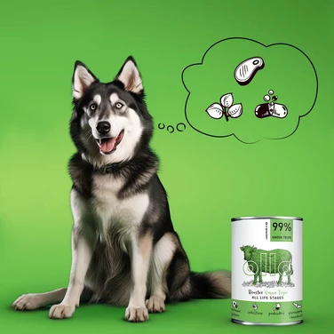 OLLO Booster Digest Green Tripe - uzupełniająca, mokra karma dla psa z zielonymi żwaczami wołowymi 400g - 2
