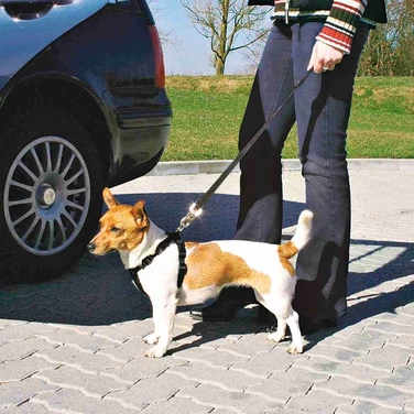 Trixie szelki i pas do przewożenia psa w samochodzie - 5