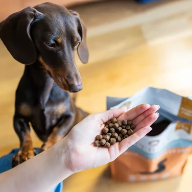 PERRO bezzbożowa, sucha karma dla dorosłych psów małych ras, wołowina z batatami 1kg - 3