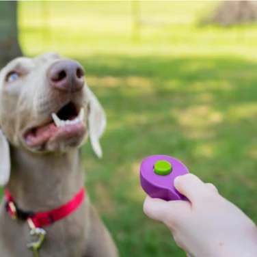 PETSAFE Click-R - kliker do szkolenia psa lub kota, z wygodnym uchwytem na palec - 2