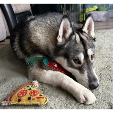 GREEN&WILD'S Pepe le Pizza  - bardzo wytrzymała zabawka dla psa z naturalnej skóry i juty 20cm - 5